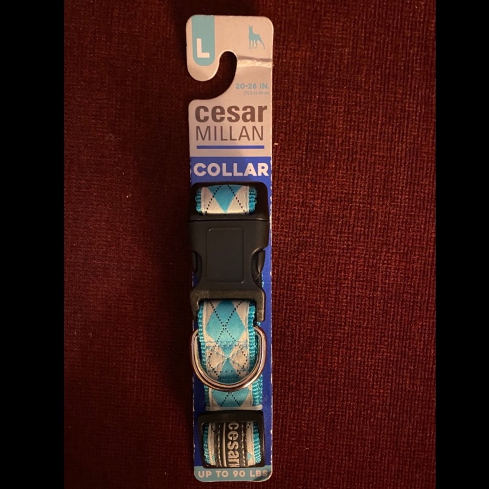 Cesar Millan Large Dog Collar